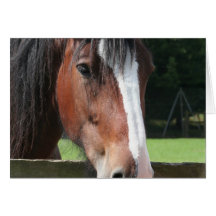 Picture of a Quarter Horse Greeting Card