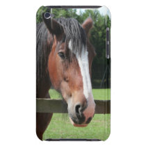 Picture of a Quarter Horse iTouch Case Ipod Case-mate Case