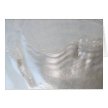 Picture of a Shell. Greeting Card