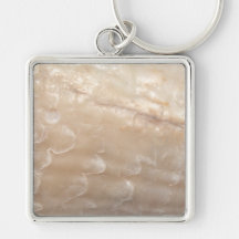 Picture of a shell. key chains
