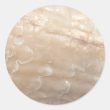 Picture of a shell. stickers