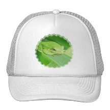 Picture of a Tree Frog Baseball Hat