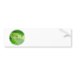 Picture of a Tree Frog Bumper Stickers