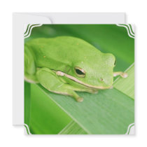 Picture of a Tree Frog Invitations