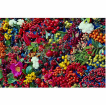 Picture of Autumn berries Cut Outs