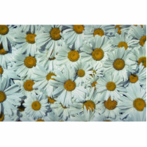 Picture of Daisies Acrylic Cut Outs