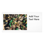 Picture of Ducks in a Crowd photo cards
