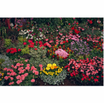 Picture of Flower exhibition, County Show, England Acrylic Cut Outs