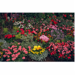 Picture of Flower exhibition, County Show, England photo sculptures
