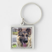 Picture of German Shepherd  Keychain