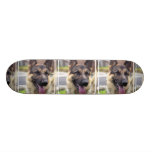 Picture of German Shepherd Skateboard