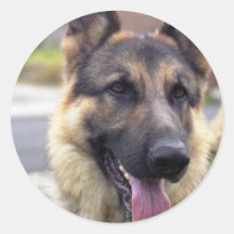 Picture of German Shepherd  Stickers