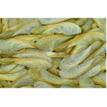 Picture of Maple seeds photo sculptures