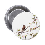 Picture of Sparrow Singing in Flowering Tree Pinback Button
