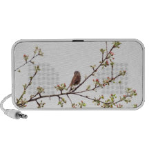 Picture of Sparrow Singing in Flowering Tree Travelling Speakers