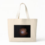Picture or Video 004 Canvas Bag