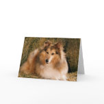 Picture Perfect Cute Puppy Dog Greeting Card