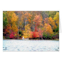 Picture Perfect Fishing Greeting Cards