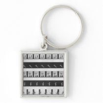 Picture strips for a praxinoscope keychains