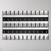 Picture strips for a praxinoscope posters