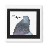 Pidgie Fund Logo magnets