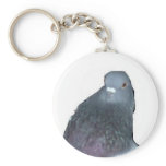 Pidgie of The Pidgie Fund keychains