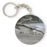 Pied Shags on the Beach keychains