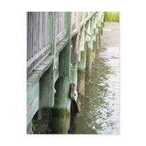Pier Postcards