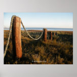 Pier Posts posters