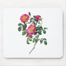 Pierre Joseph Redoute Roses Mouse Pad