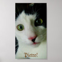 Pietro! Posters