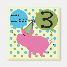 Pig 3rd Birthday Tshirts and Gifts Refrigerator Magnets