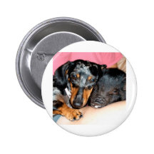 Pig and Dachshund Buttons