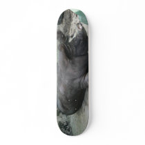pig board