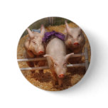 Pig - Getting past hurdles buttons
