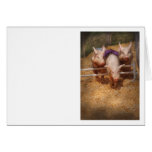 Pig - Getting past hurdles cards