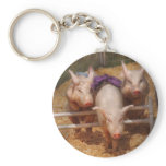 Pig - Getting past hurdles keychains
