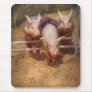 Pig - Getting past hurdles