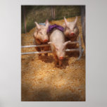 Pig -  Getting past hurdles posters