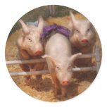 Pig - Getting past hurdles stickers
