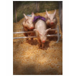 Pig - Getting past hurdles t-shirts
