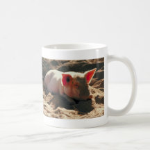 Pig in the Sun Coffee Mugs