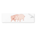 Pig Lovers bumper stickers