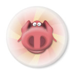 pig magnets