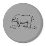 PIG magnets