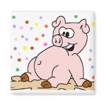 Pig magnets