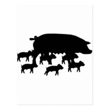 pig mum with young pigs icon postcard