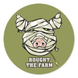 Pig Mummy