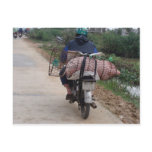 Pig on a Motorbike Post Cards