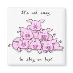 Pig Pyramid Fridge Magnet